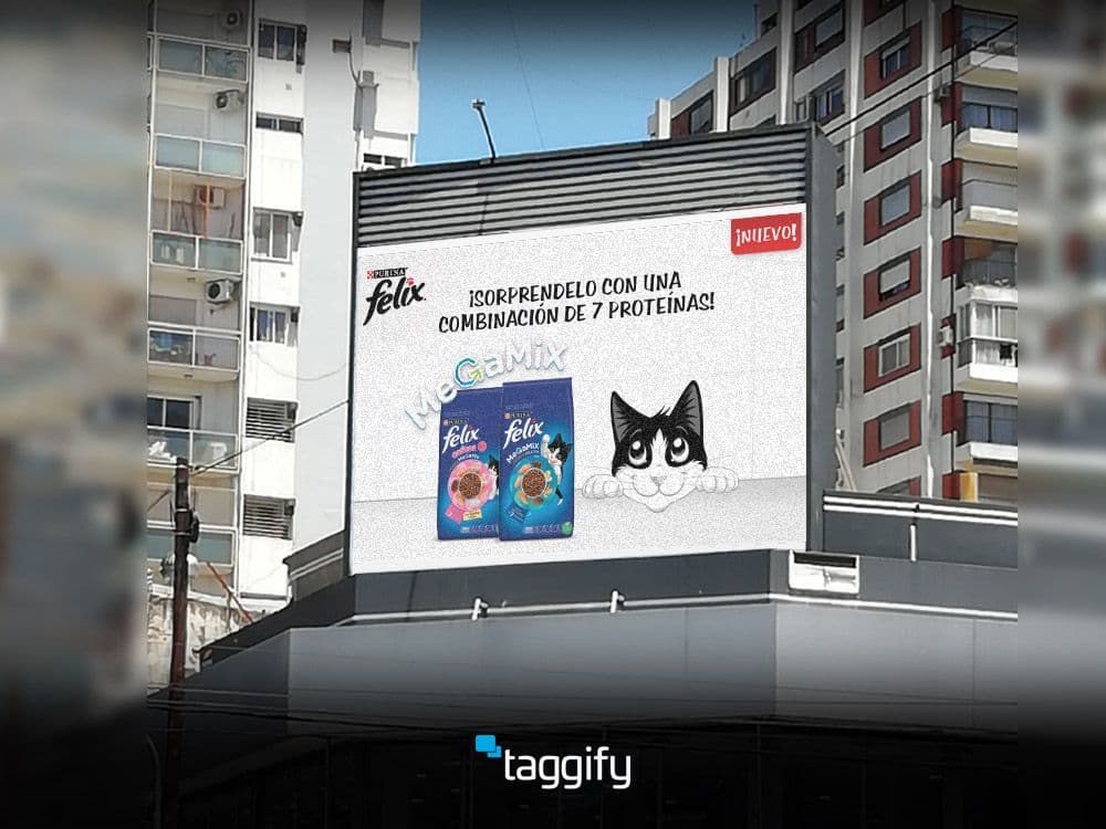 Introducing Felix Dry: Purina's new balanced food for cats — Image 1