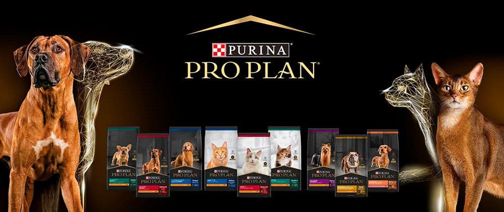 Purina Pro Plan: la fórmula que detiene el envejecimiento