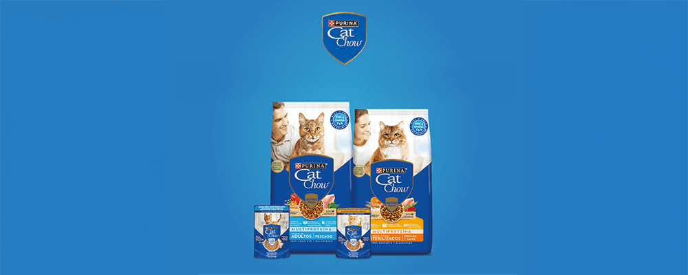 Purina Cat Chow Celebrated Its 60th Anniversary with a pDOOH Campaign on Taggify’s Platform