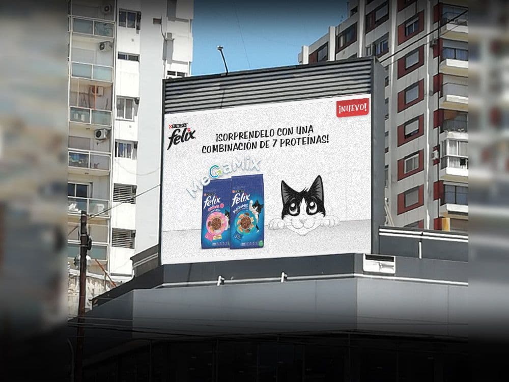 Introducing Felix Dry: Purina's new balanced food for cats